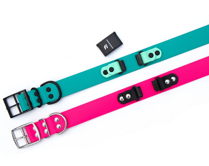 1.5" Fi Compatible BioThane® Collar (Series 3) | SeaFlower Co