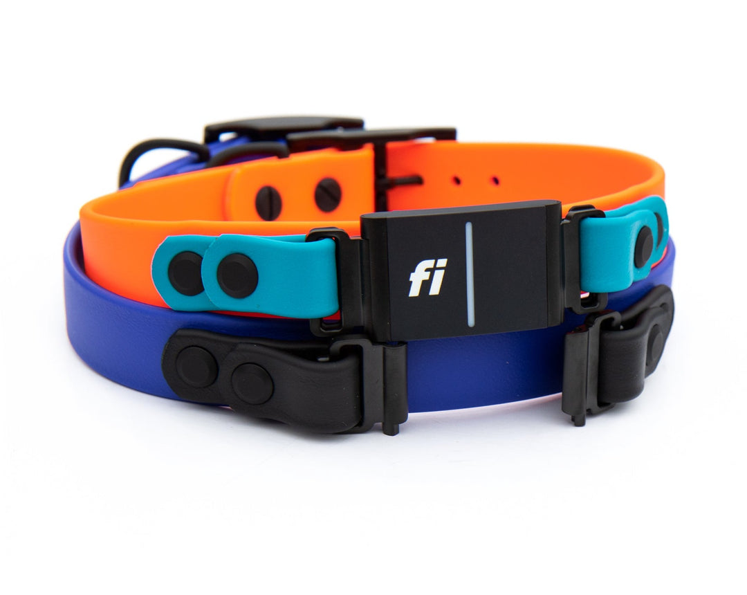 Fi Series 3 Compatible Waterproof Collar | SeaFlower Co