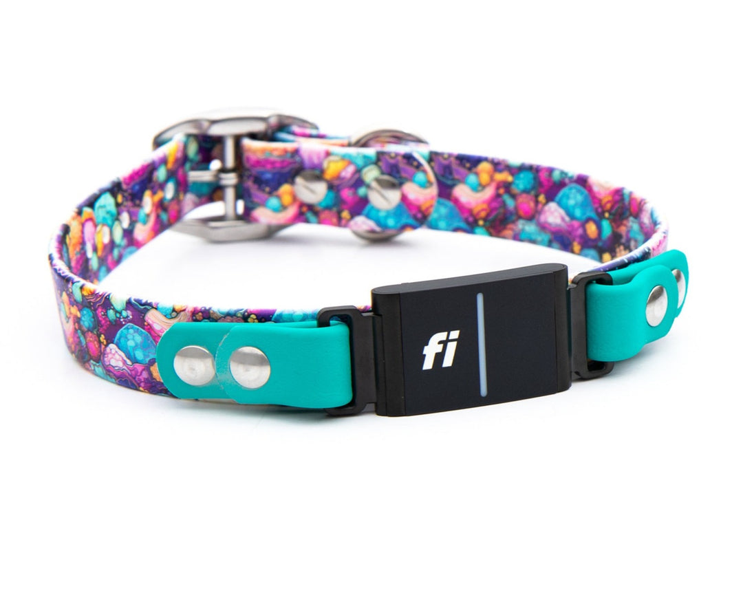 Fi Compatible Collars – SeaFlower Company