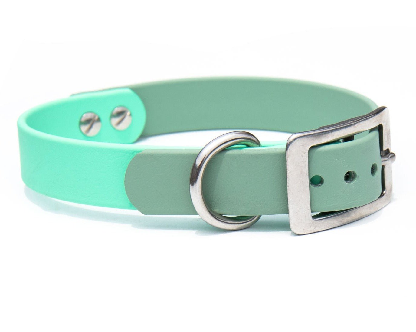 Foam dog collar best sale