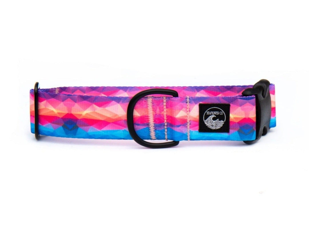 Vibrant Abstract Dog Collar | SeaFlower Co