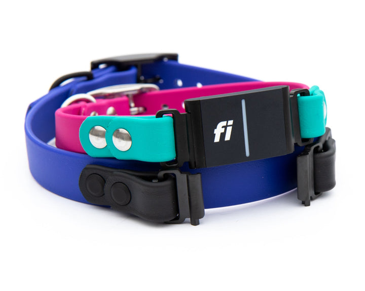 Fi Series 3 Compatible Waterproof Collar | SeaFlower Co