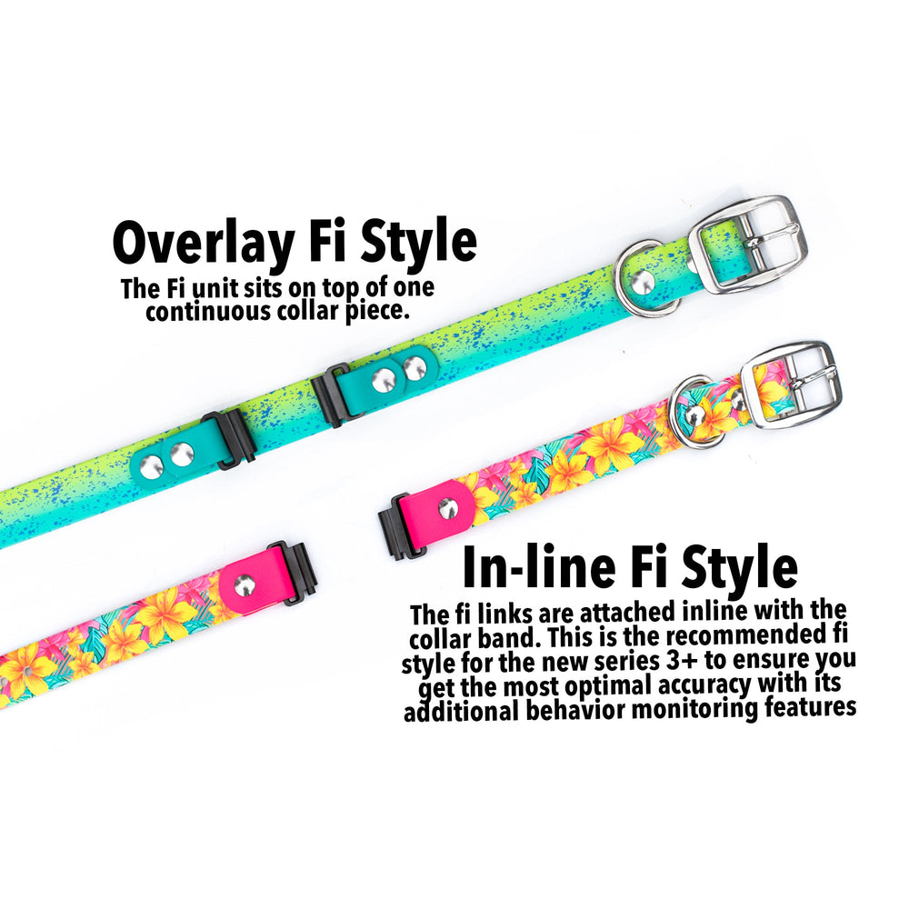Two dog collars with different fi style attachments on a white background