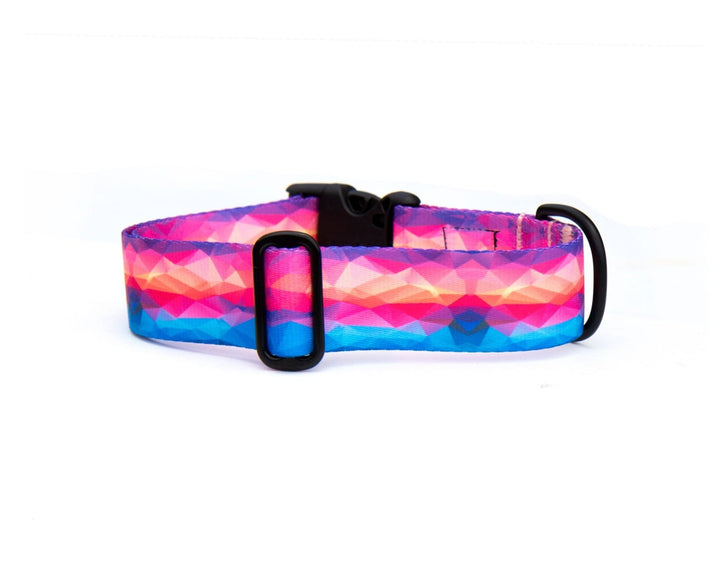 Vibrant Abstract Dog Collar | SeaFlower Co