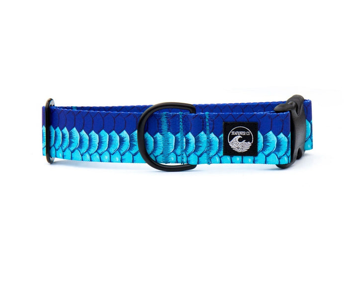 Tarpon Scales Dog Collar | SeaFlower Co