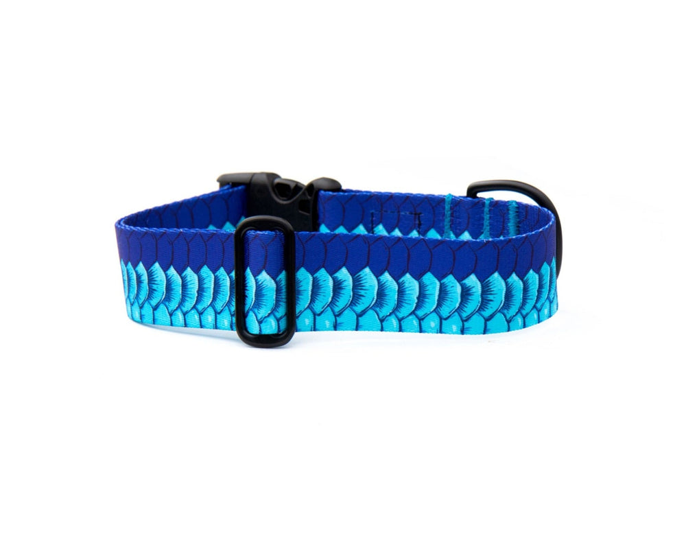 Tarpon Scales Dog Collar | SeaFlower Co
