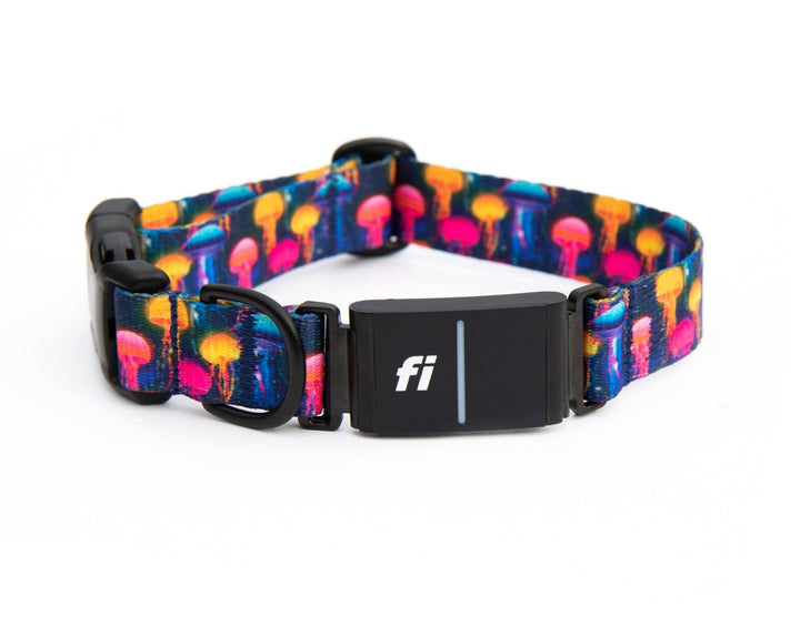 Fi Series 3 Compatible Collar | SeaFlower Co