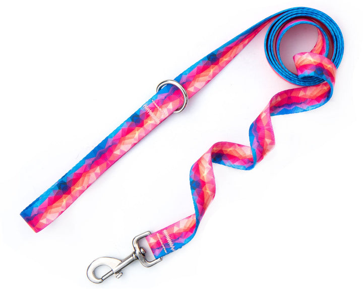 Vibrant Abstract Dog Leash | SeaFlower Co