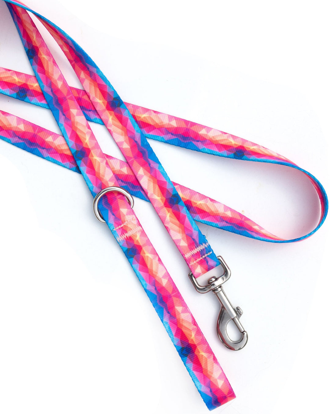 Vibrant Abstract Dog Leash | SeaFlower Co