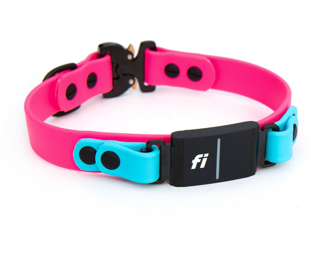 Fi Compatible Series 3 Waterproof Dog Collar | SeaFlower Co