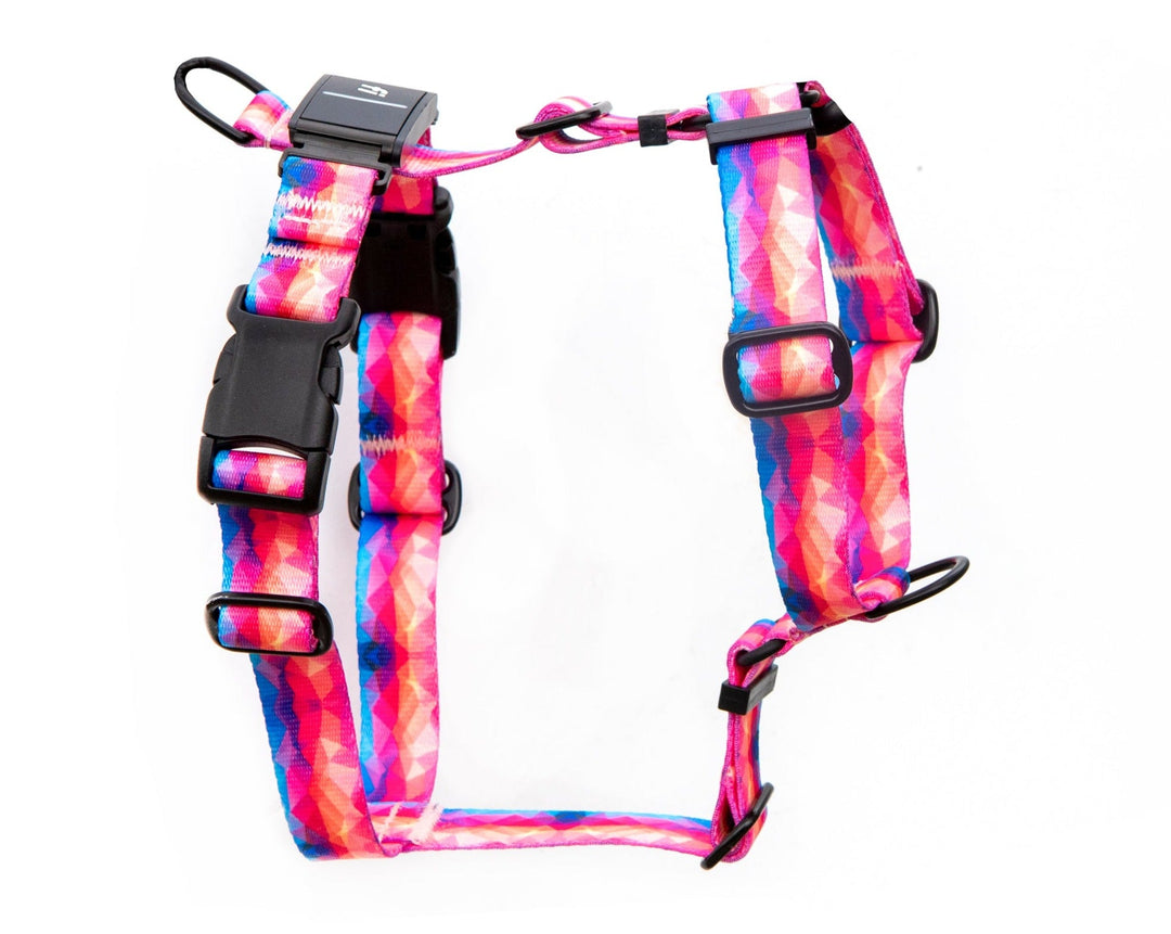 Fi Compatible Series 3 Harness | SeaFlower Co