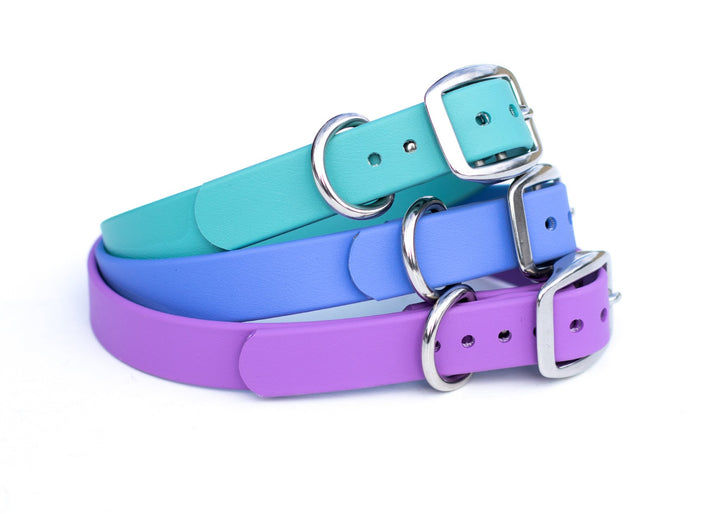 BioThane Dog Collars | Waterproof | SeaFlower Co