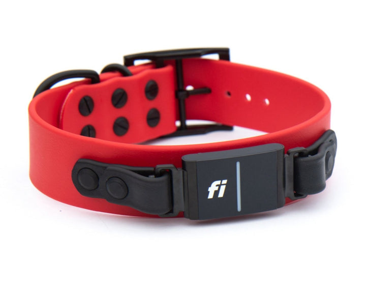 Series 1, 2 or 3 Fi Compatible 1.5" BioThane® Collar