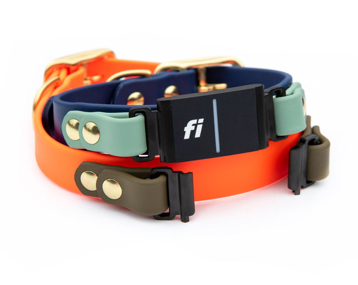 Fi Compatible Series 3 Waterproof Dog Collar | SeaFlower Co