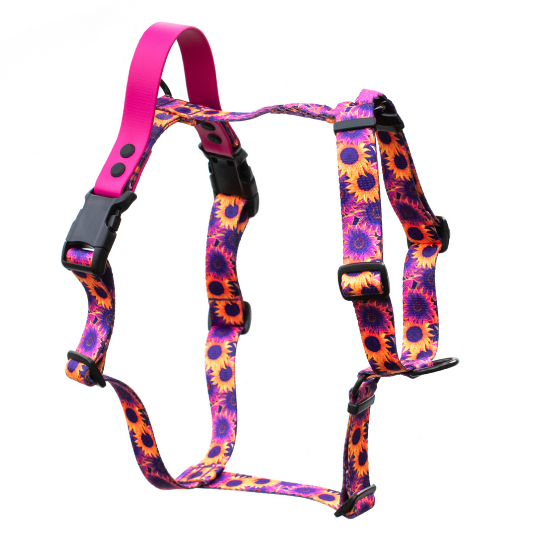 Adjustable 5pt Harness With BioThane® Handle | SeaFlower Co