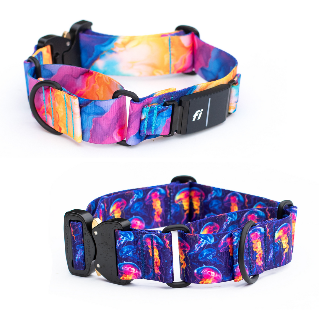 FI Compatible Series 3/3+ Collars Martingale Collar With Buckle