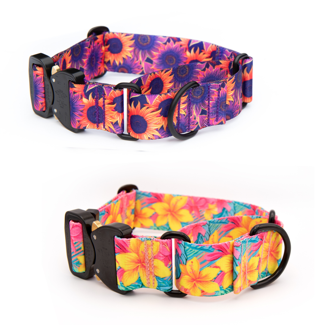 Fi 3/3+ Compatible Martingale Collar With Buckle | 40+ Designs