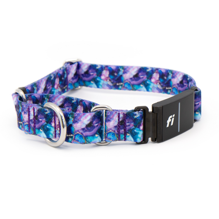 FI Compatible Series 3/3+ Martingale Collars | SeaFlower Co