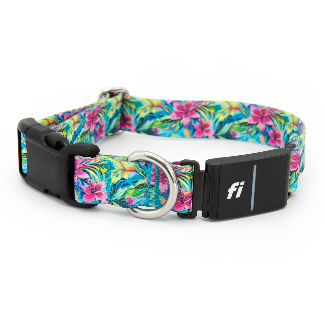 FI Compatible Series 3/3+ Collars | SeaFlower Co