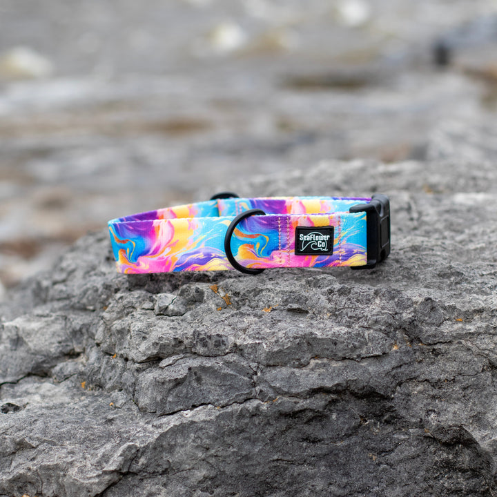 Colorful dog collar 