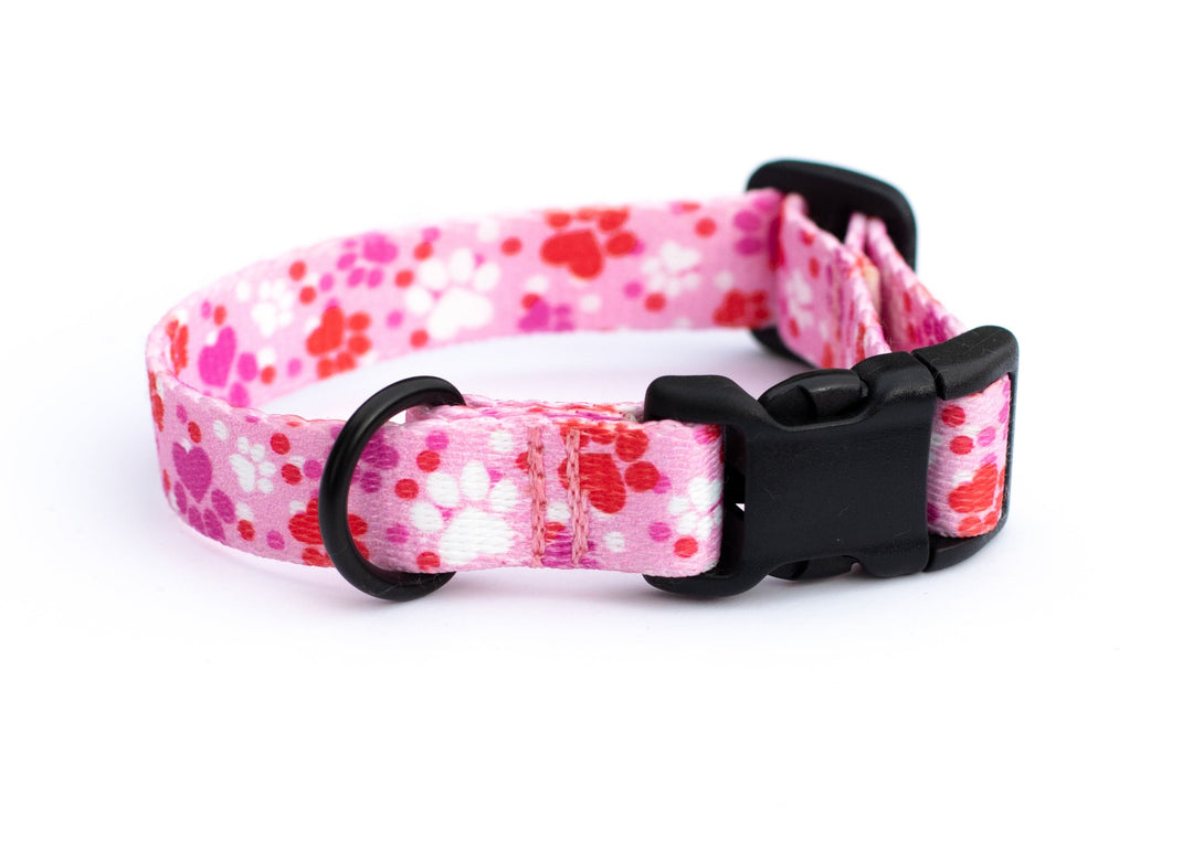 Cute Cat Collars | SeaFlower Co