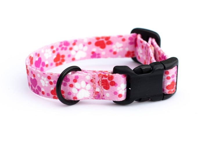 Cute Cat Collars | SeaFlower Co