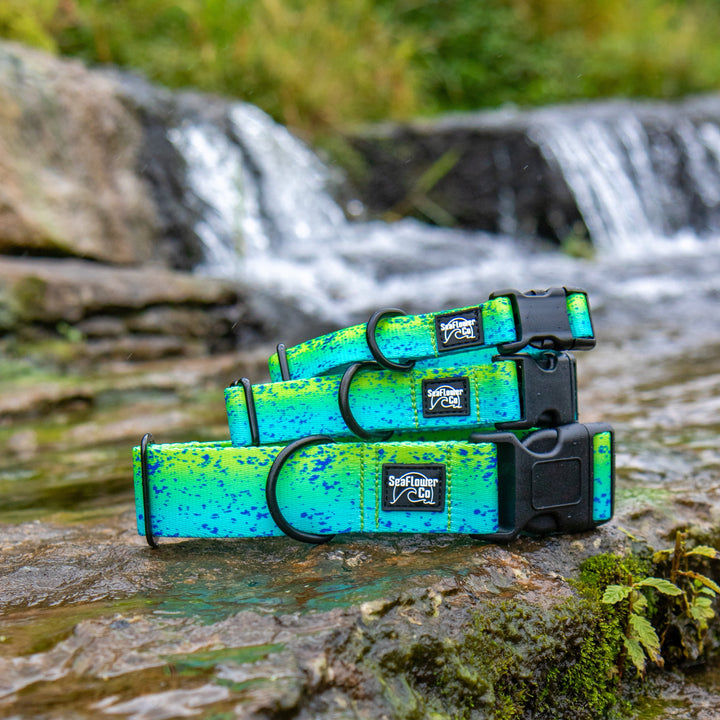 Green Dorado