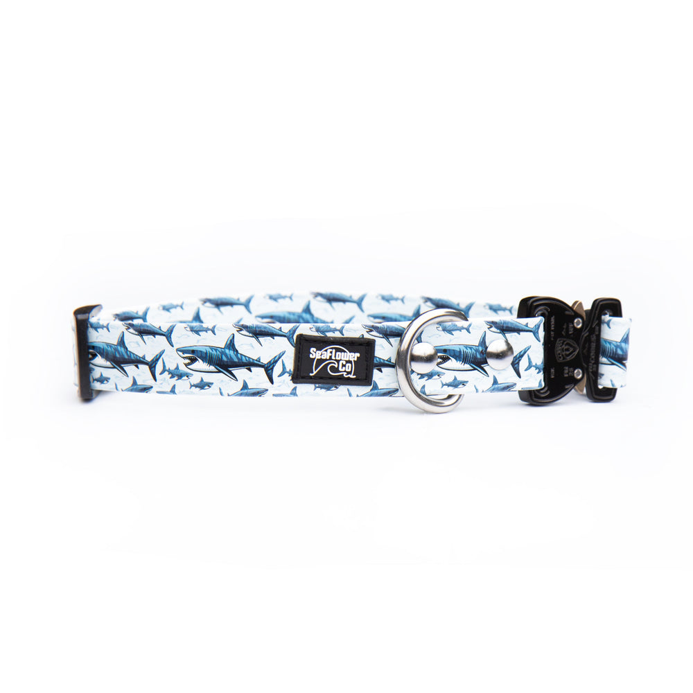 Dog collar with shark pattern on a white background