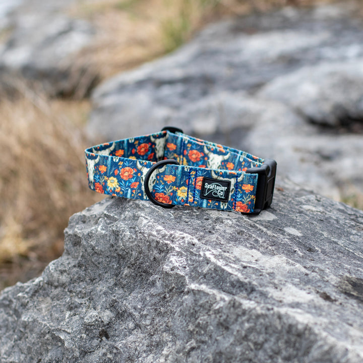 Boho Western Floral-patterned dog collar on a rock with a natural background
