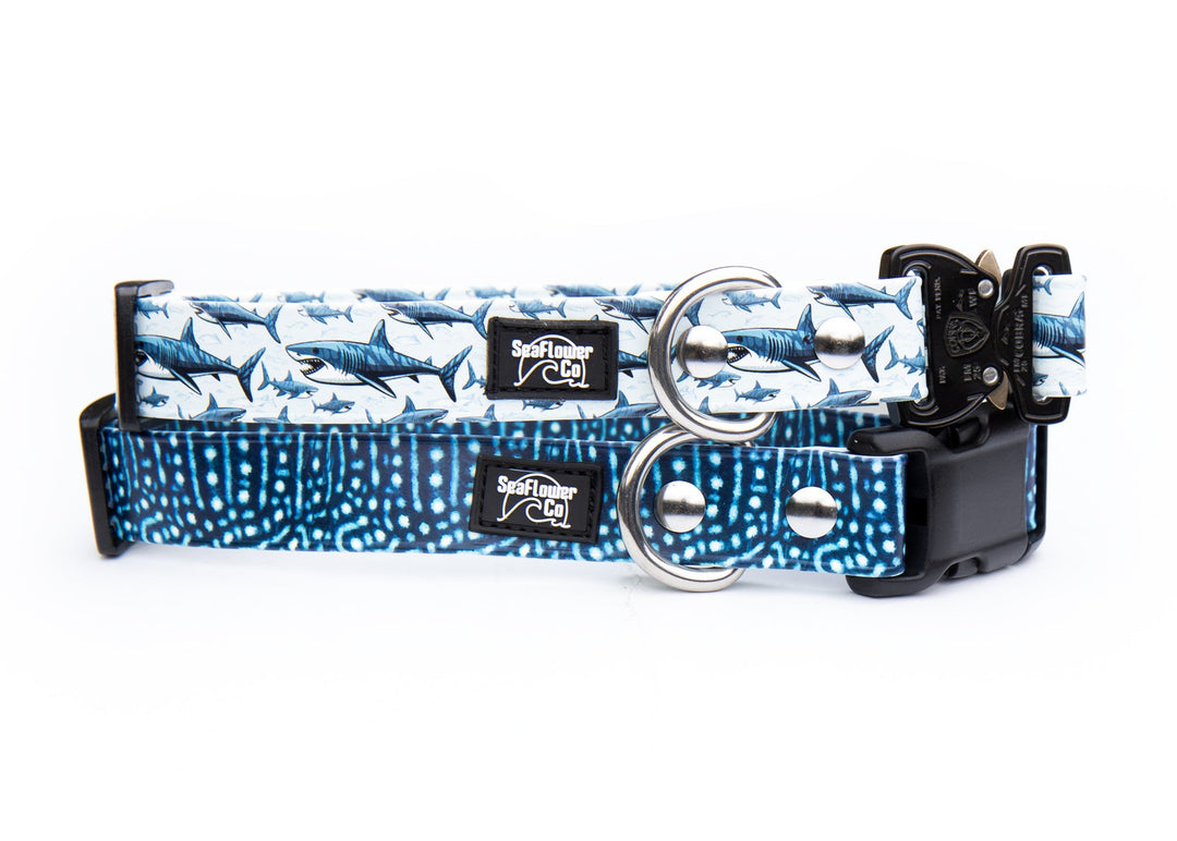 Waterproof Adjustable UV Printed BioThane Dog Collar | SeaFlower CO