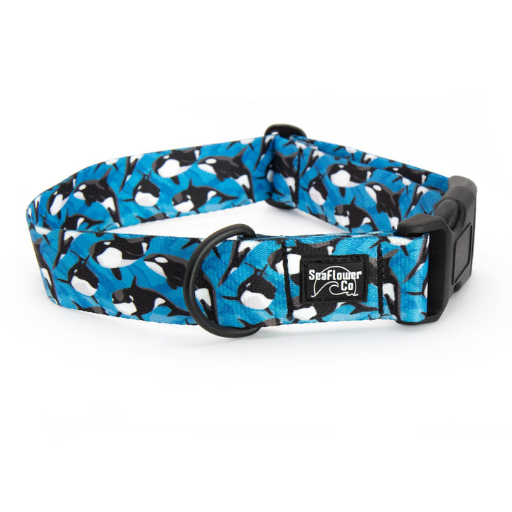 Orca Whale Dog Collar | SeaFlower Co