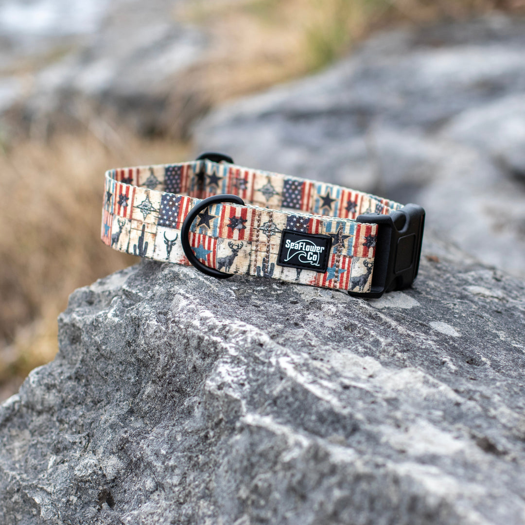 Dog collar with American flag pattern on a rock