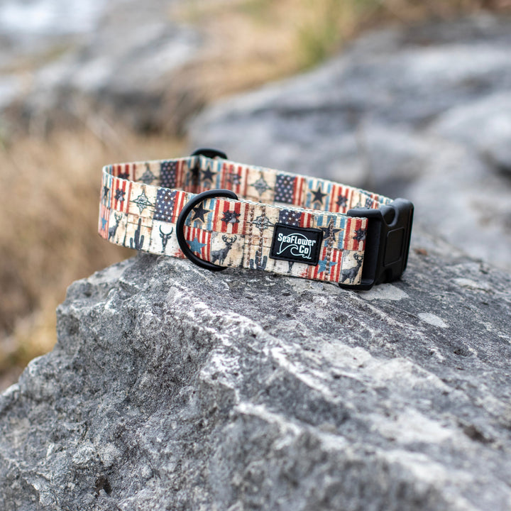 Dog collar with American flag pattern on a rock