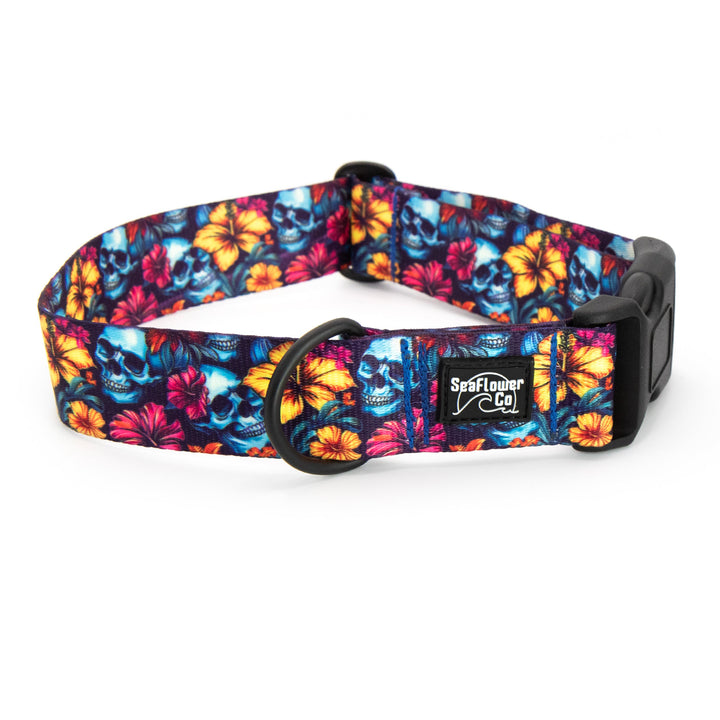 Dog collar with colorful skull and floral pattern on a white background