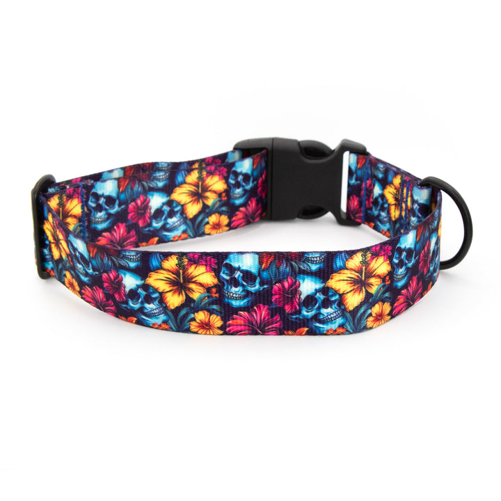 Dog collar with colorful skull and floral pattern on a white background