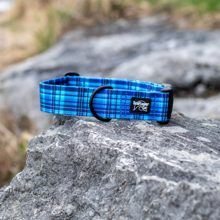 Blue plaid dog collar on a rock with a blurred natural background