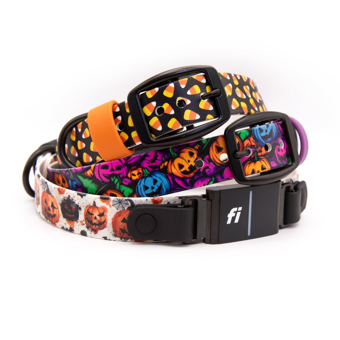 Fi 3/3+ Compatible UV Printed Halloween BioThane® Collar | Waterproof Dog Gear