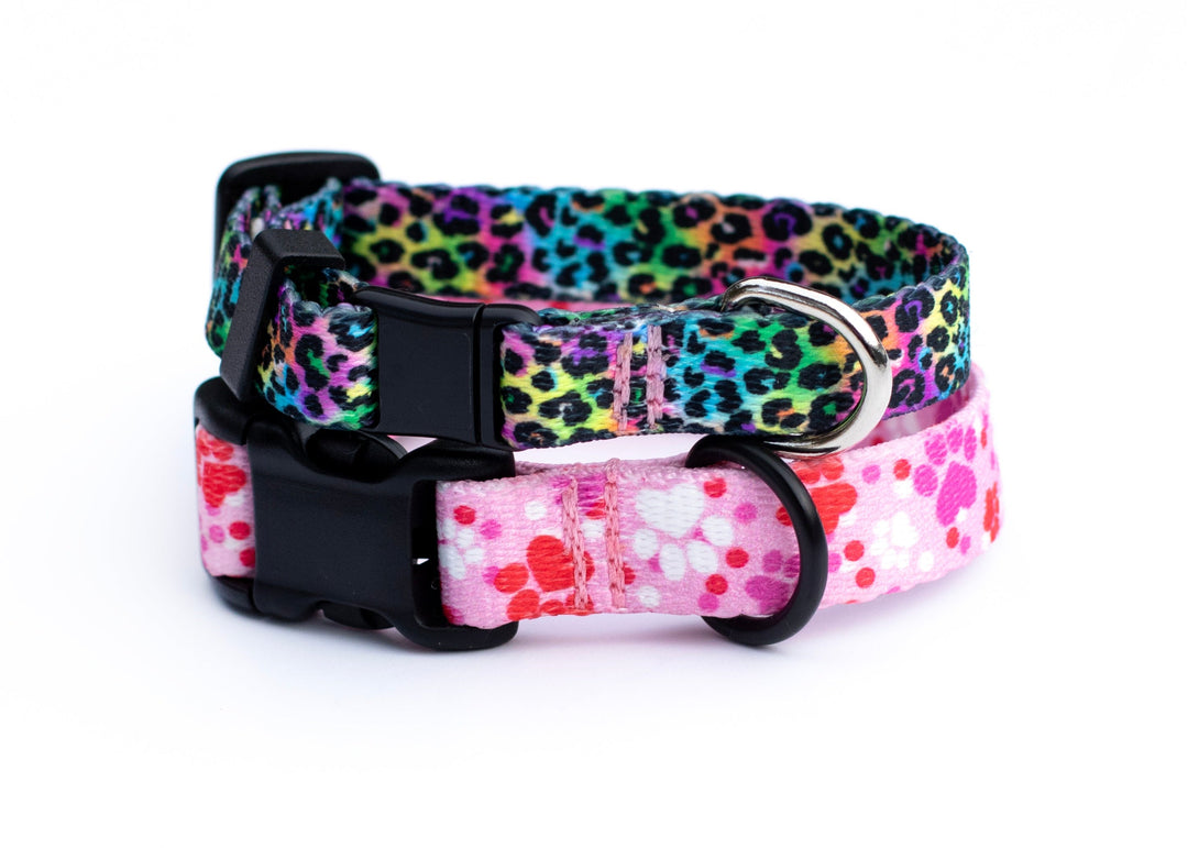 Cute Cat &amp; Mini Collars | SeaFlower Co