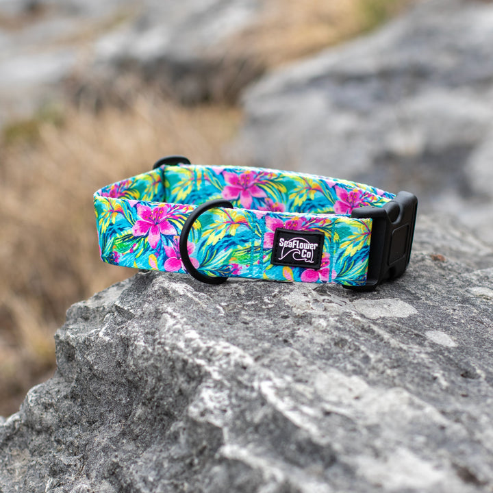 Colorful floral-patterned dog collar on a rock with blurred natural background