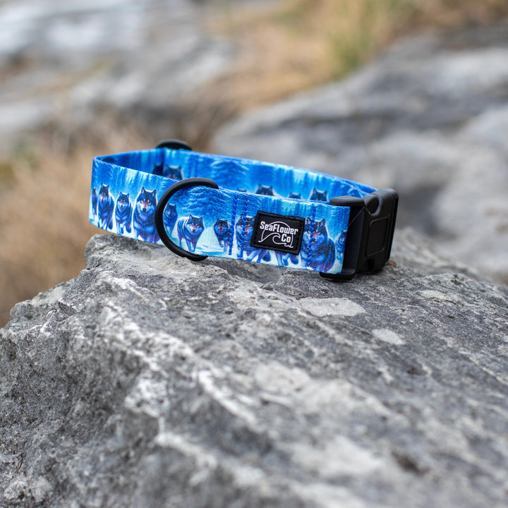 Vibrant Wolves Dog Collar | SeaFlower Co