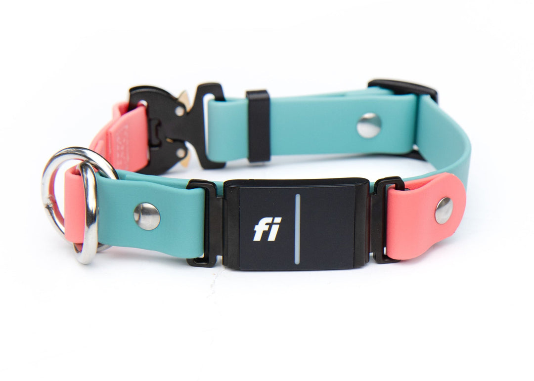 Fi Compatible Series 3/3+ Limited Slip BioThane Collar | SeaFlower Co