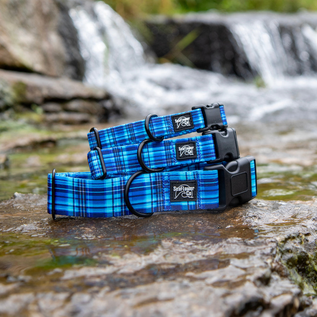 Three blue plaid dog collars with black buckles and a silver logo patch, displayed on a wet rock in a stream with a blurred waterfall in the background.
