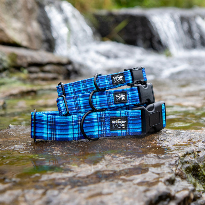 Three blue plaid dog collars with black buckles and a silver logo patch, displayed on a wet rock in a stream with a blurred waterfall in the background.