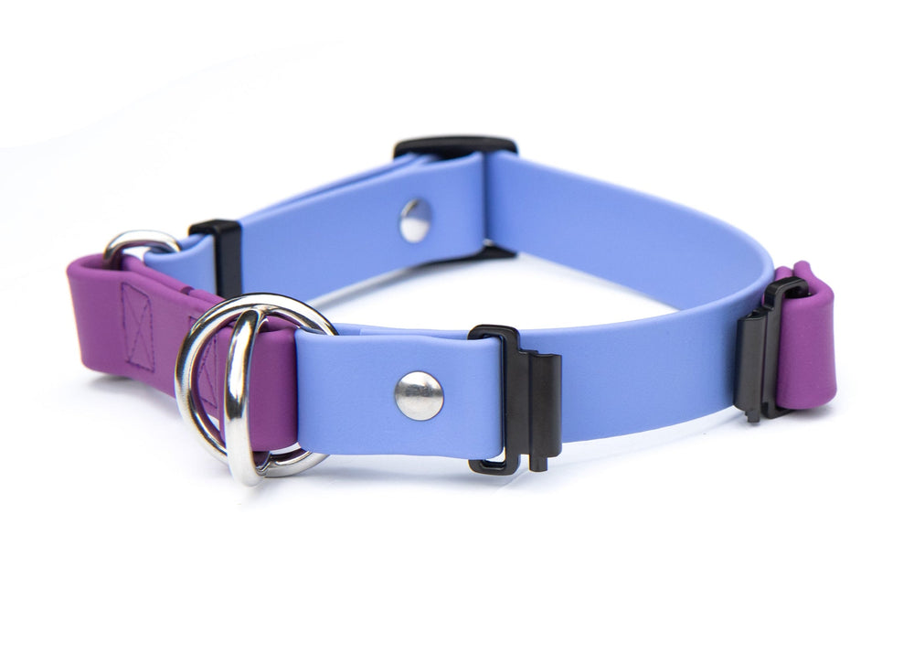 Fi Compatible Series 3/3+ Limited Slip BioThane Collar | SeaFlower Co