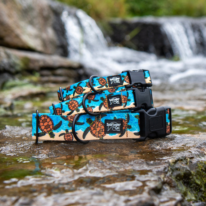 Three dog collars with a blue and brown turtle pattern are displayed on wet rocks in a stream with a blurred waterfall background.