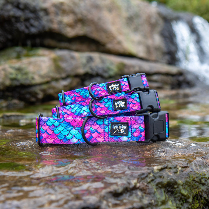 Three dog collars with a vibrant pink and blue mermaid scale pattern are arranged on a wet rock in a stream with a blurred waterfall in the background.
