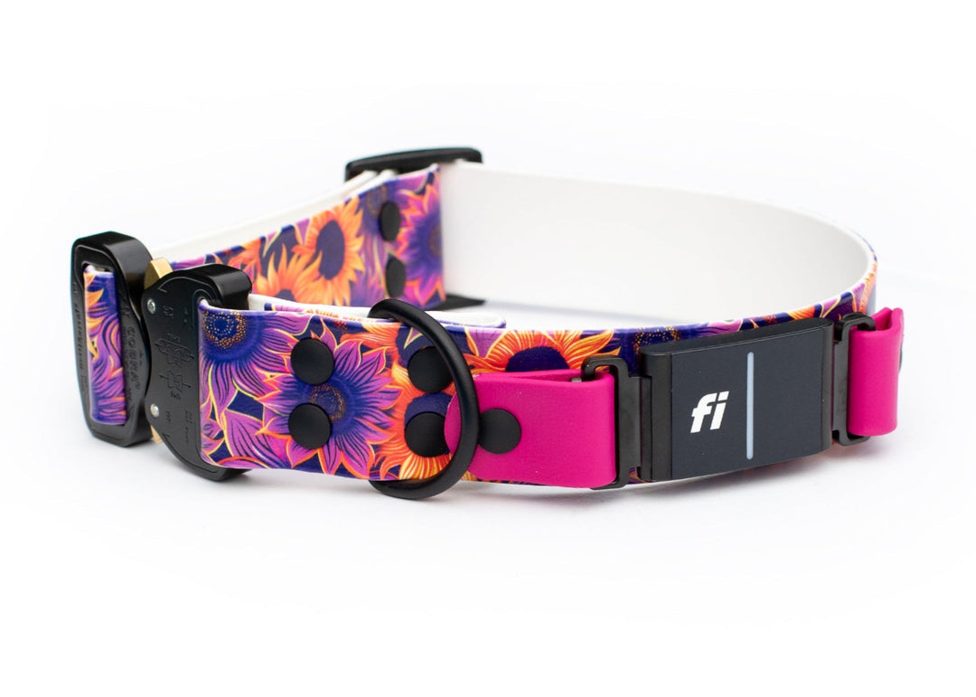 Fi 3/3+ Compatible UV Printed BioThane Collar With Quick Release Buckle | SeaFlower Co