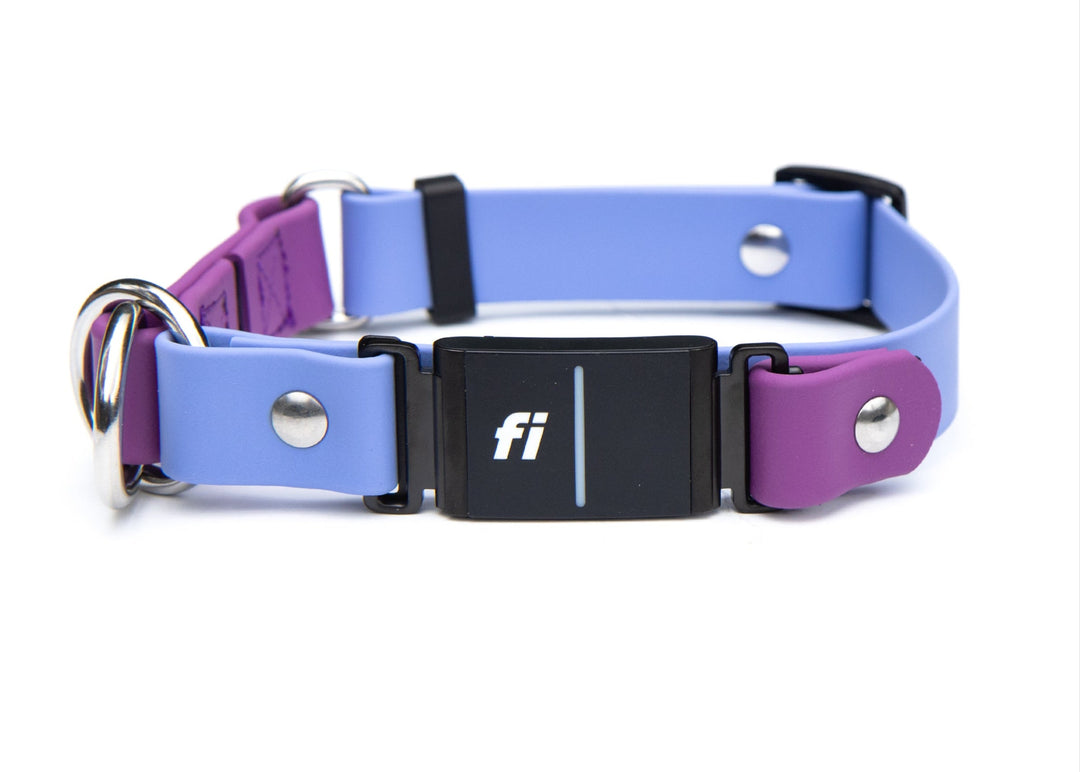 Fi Compatible Series 3/3+ Limited Slip BioThane Collar | SeaFlower Co