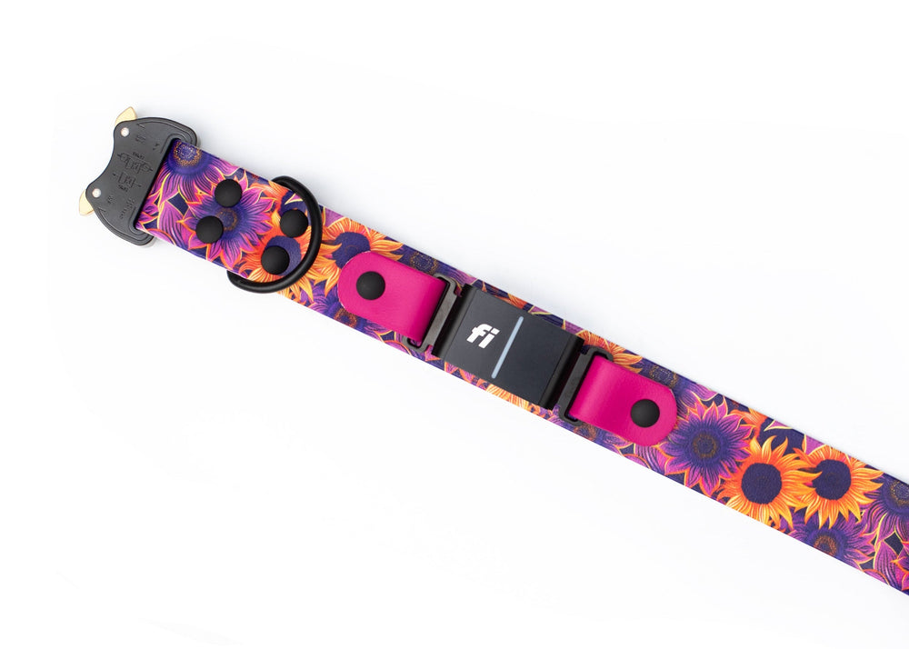 Fi 3/3+ Compatible UV Printed BioThane Collar With Quick Release Buckle | SeaFlower Co