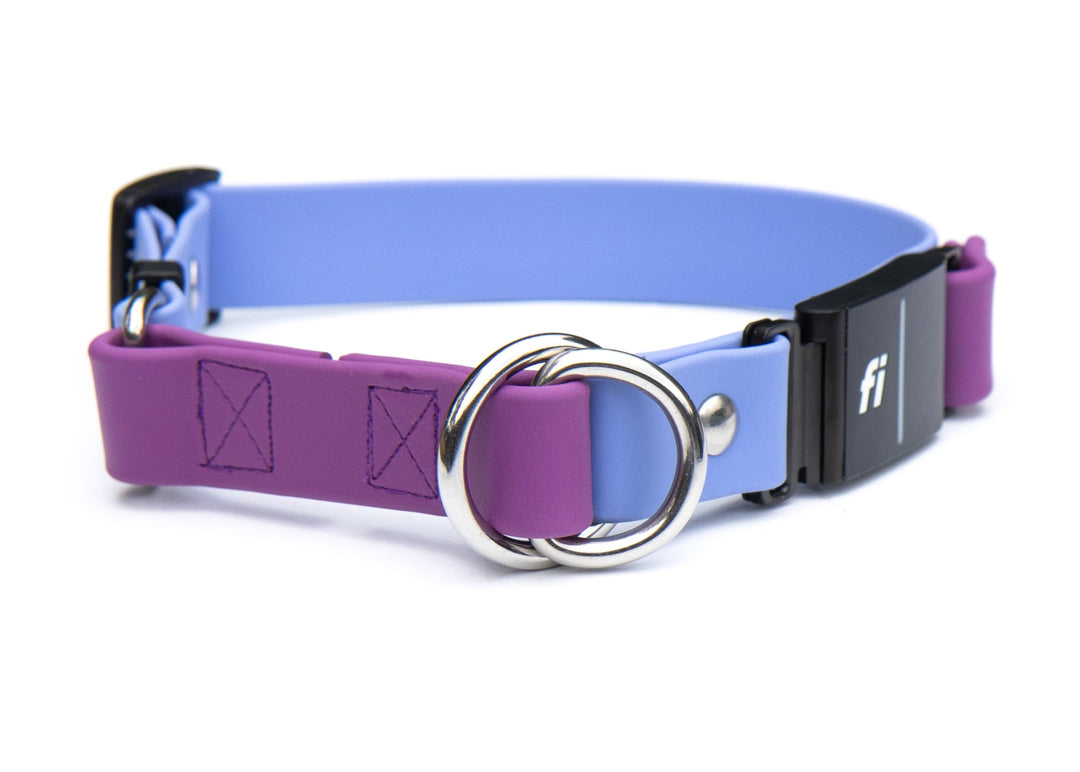 Fi Compatible Series 3/3+ Limited Slip BioThane Collar | SeaFlower Co